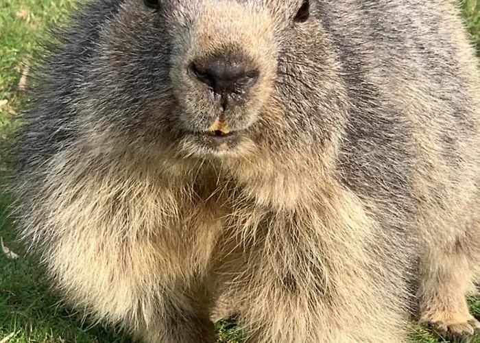 Отель De Charme La Poste 3*