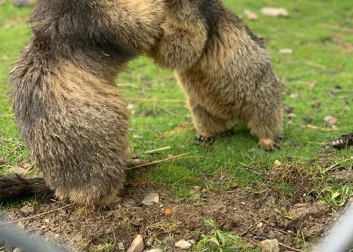 De Charme La Poste 3* アンゼール